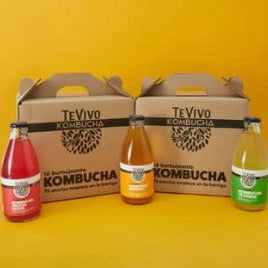 Kombucha